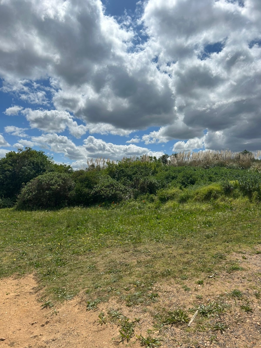 0 Bedroom Property for Sale in Hawston Western Cape